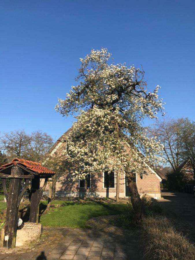 Appartement "In De Wolken" In Gees Extérieur photo
